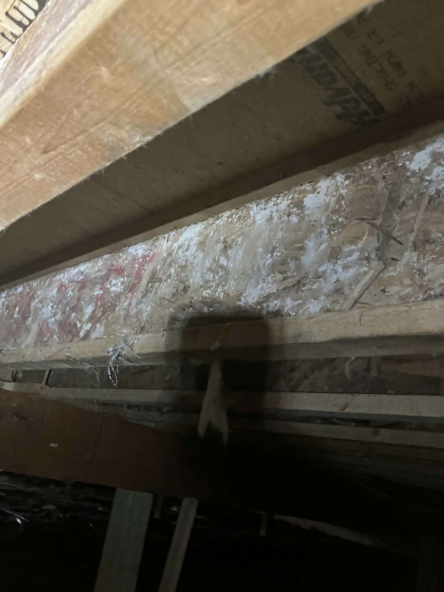 Crawl space joist covered in mold and moisture damage before Redman treatment