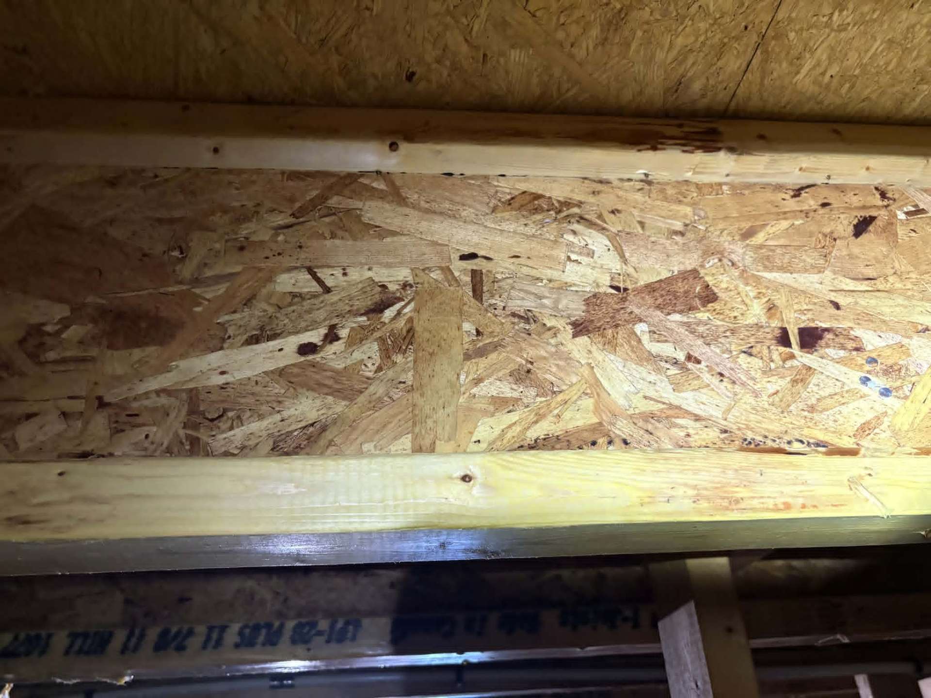 Same crawl space joist cleaned and treated by Redman after mold remediation